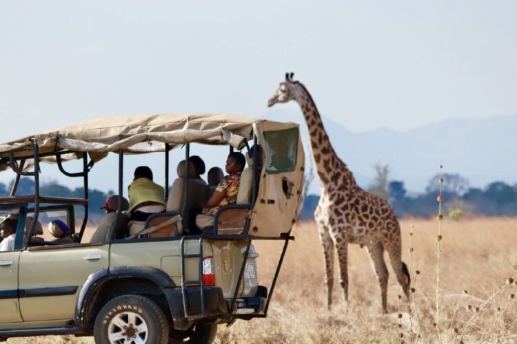 новость 03-10-2024 Сколько будут стоить туры в Африку этой зимой