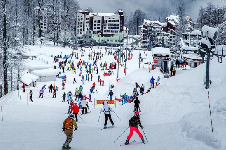 новость 15-10-2024 Какие сюрпризы ждут туристов в Сочи на новогодних каникулах