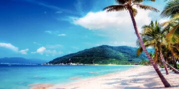 новость 14-11-2024