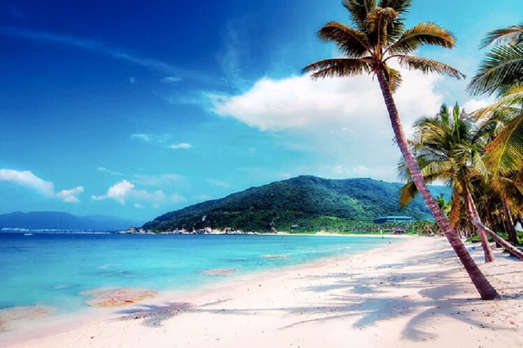 новость 14-11-2024