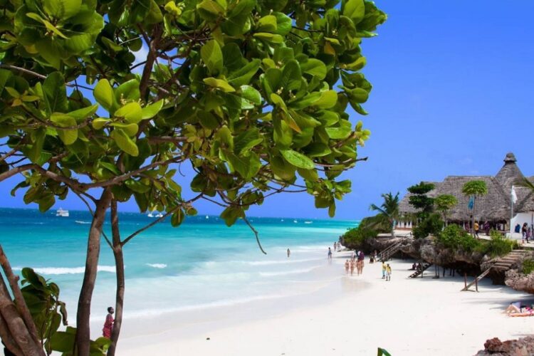 новость 13-11-2024 Сколько будет стоить отдых на Занзибаре на Новый год