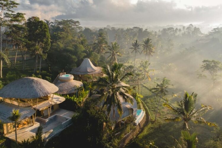 новость 16-12-2024 На Бали российский турист получил серьезные травмы