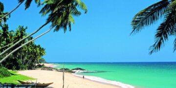 новость 19-12-2024 Российских туристов на Шри-Ланке попросили не ловить никакую живность