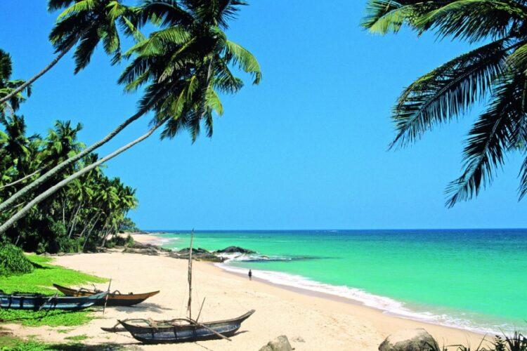 новость 19-12-2024 Российских туристов на Шри-Ланке попросили не ловить никакую живность