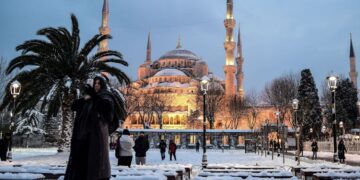 новость 10-12-2024