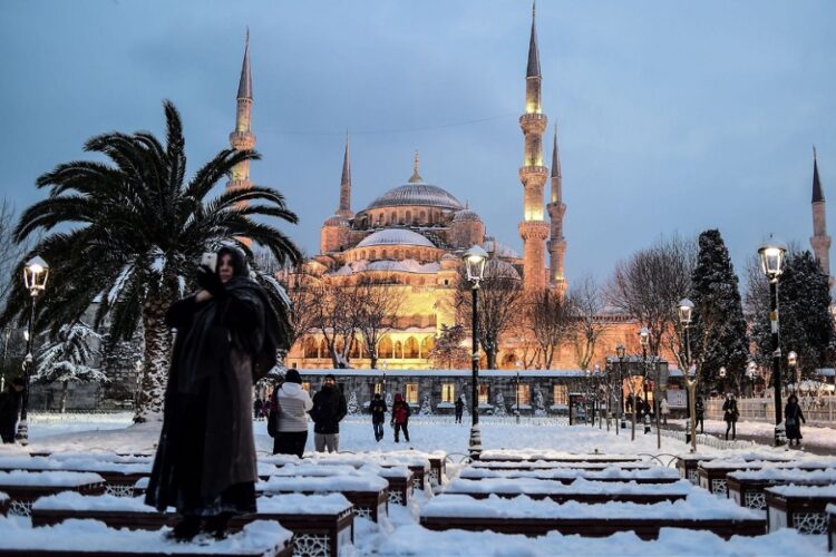 новость 10-12-2024