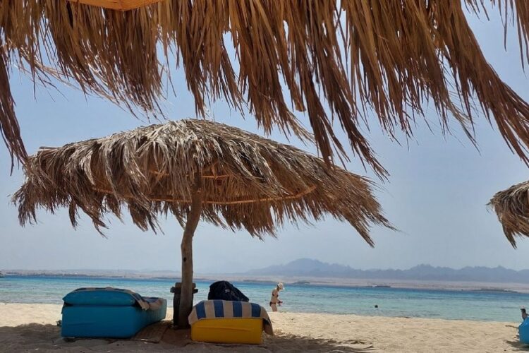 новость 31-12-2024 В следующем году прогнозируется расширение авиаперевозки