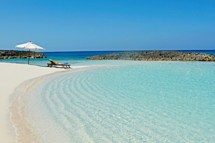 новость 16-12-2024 На курорте Кайо-Санта-Мария была замечена акула