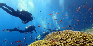 новость 24-12-2024 В Египте ужесточили правила безопасности для сафари-дайвинга