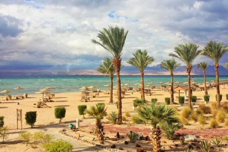 новость 23-12-2024 Таких цен на туры all inclusive в Египет в этом году не будет