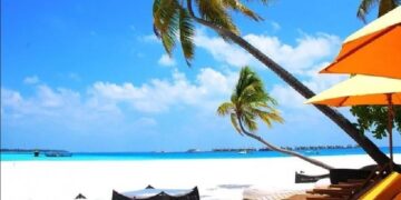 новость 10-12-2024 Шри-Ланка войдет в ТОП-10 самых популярных туристических направлений