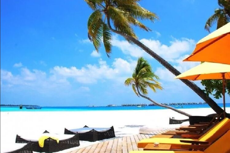 новость 10-12-2024 Шри-Ланка войдет в ТОП-10 самых популярных туристических направлений