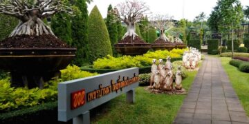 новость 16-12-2024