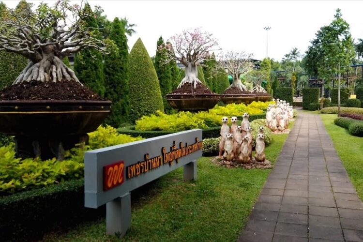 новость 16-12-2024