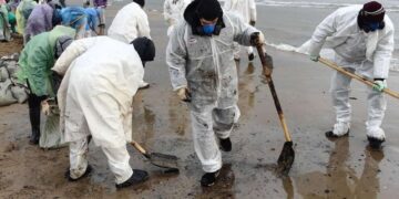 новость 25-12-2024 Очистка пляжей Анапы займет не менее одного месяца