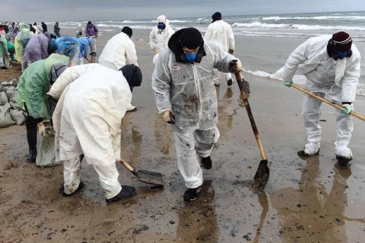 новость 25-12-2024 Очистка пляжей Анапы займет не менее одного месяца