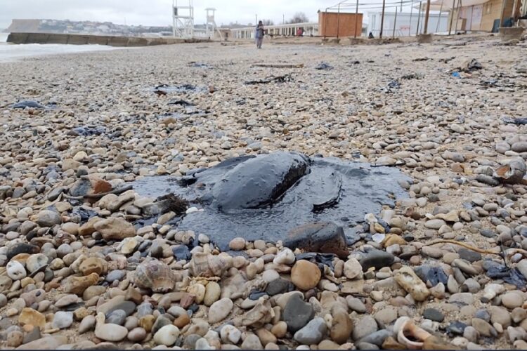 новость 07-01-2025 В Балаклавской бухте были обнаружены следы мазута