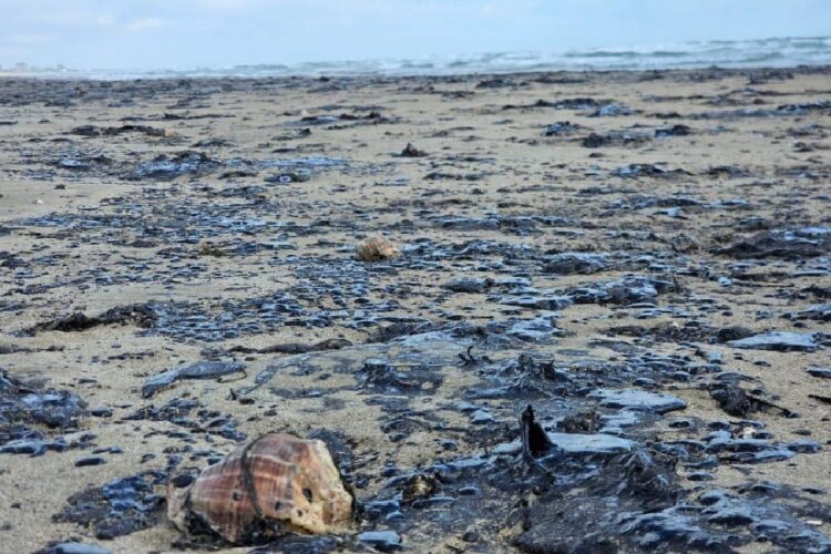 новость 13-01-2025 Сбор мазута в Анапе превратился в сложную задачу