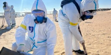 новость 12-02-2025 На пляжах Анапы снова обнаружили скопления мазута