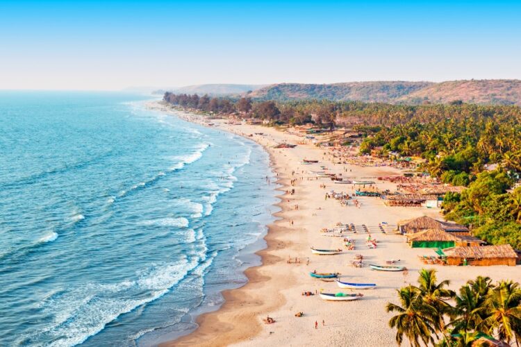 новость 04-03-2025 В Гоа пропал российский турист. Найти не могут уже 3 месяца