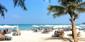 В Таиланде участились случаи заболевания лихорадкой денге среди россиян