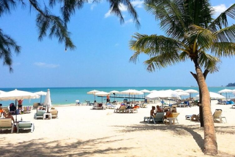 В Таиланде участились случаи заболевания лихорадкой денге среди россиян