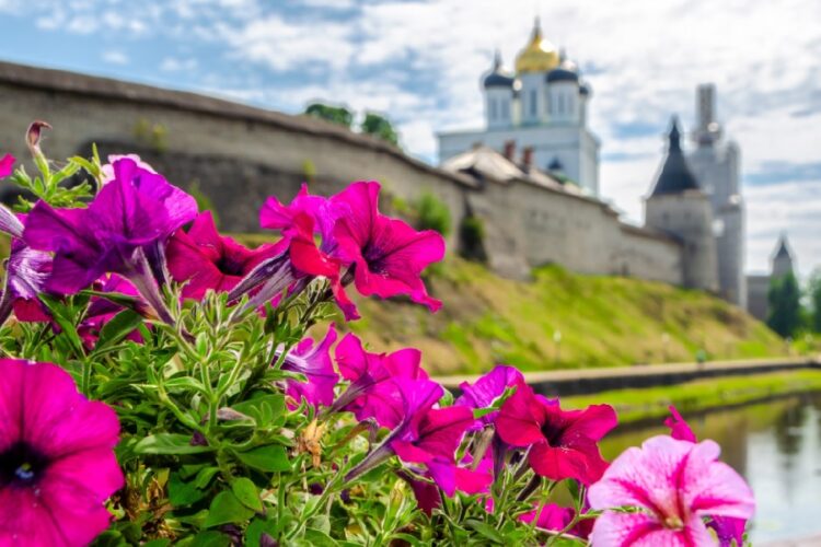 новость 30-04-2025 Количество бронирований Пскова на майские праздники выросло