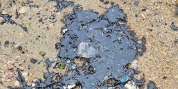 новость 07-04-2025 В районе Витязево вновь зафиксировали разливы нефтепродуктов