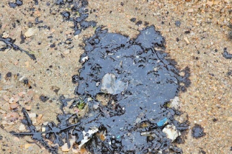 новость 07-04-2025 В районе Витязево вновь зафиксировали разливы нефтепродуктов