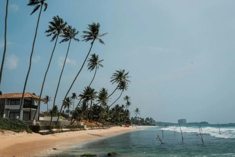 новость 30-04-2025 Интерес к турам на Шри-Ланку на майские вырос