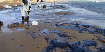 новость 21-05-2025 Экологическую катастрофу на Черном море превратили в черный сувенирный хайп