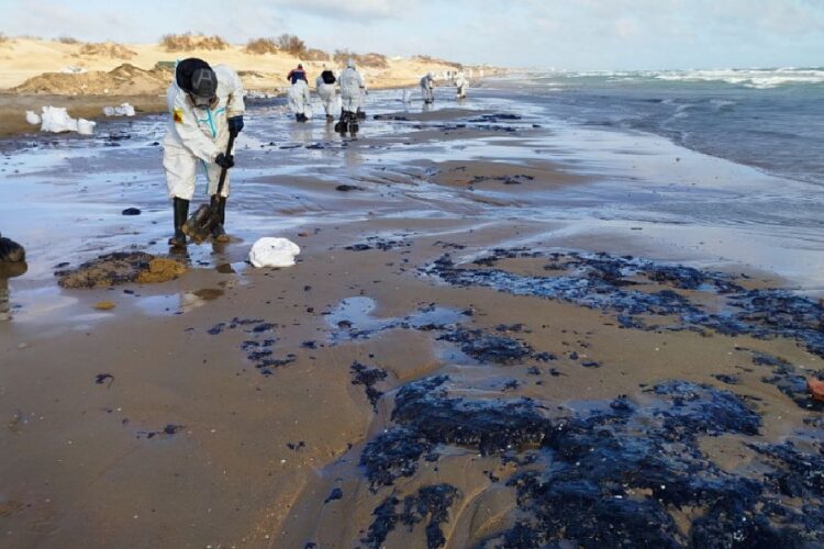 новость 21-05-2025 Экологическую катастрофу на Черном море превратили в черный сувенирный хайп