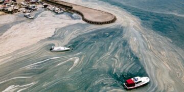 новость 12-05-2025 Турецкие эксперты бьют тревогу - экологическая угроза возвращается