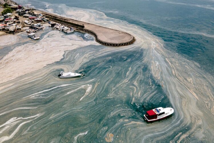 новость 12-05-2025 Турецкие эксперты бьют тревогу - экологическая угроза возвращается
