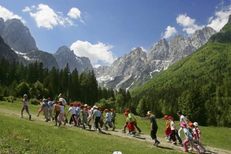 новость 22-05-2025 Не дайте лагерю испортить лето: 5 скрытых ловушек при покупке путёвки