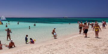 новость 19-05-2025 Мечта или опасность? Как отели Египта саботируют защиту от акул