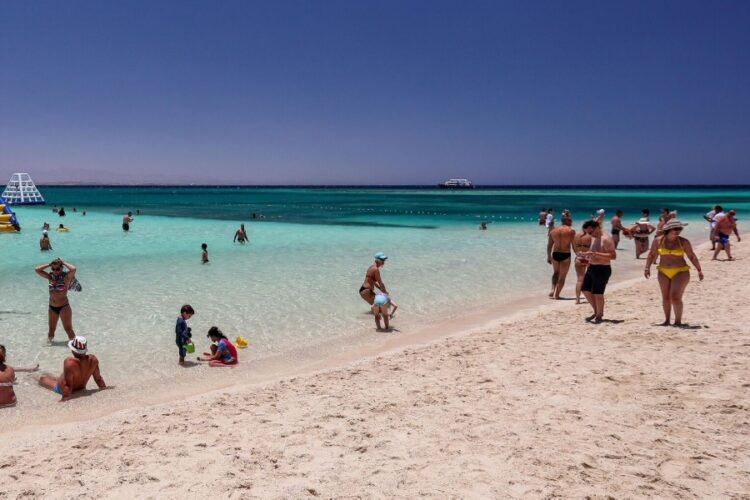 новость 19-05-2025 Мечта или опасность? Как отели Египта саботируют защиту от акул