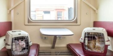 новость 19-05-2025 Крымские поезда упростили правила перевозки питомцев в вагонах купе