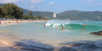 новость 12-07-2025 На острове Пхукет было замечено опасное существо