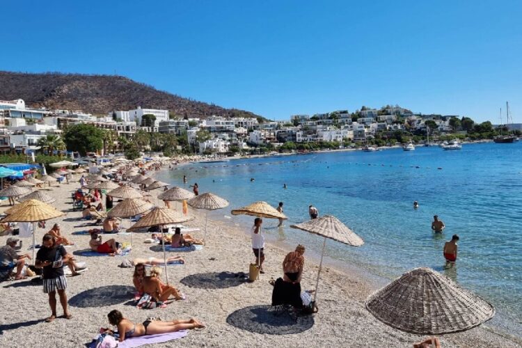 новость 11-08-2025