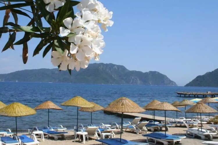 новость 24-09-2025 Туроператоры дали старт раннему бронированию туров в Турцию