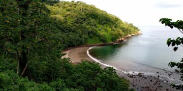 новость 28-09-2025 Мексиканский дайвер стал жертвой нападения акулы в популярном у туристов месте