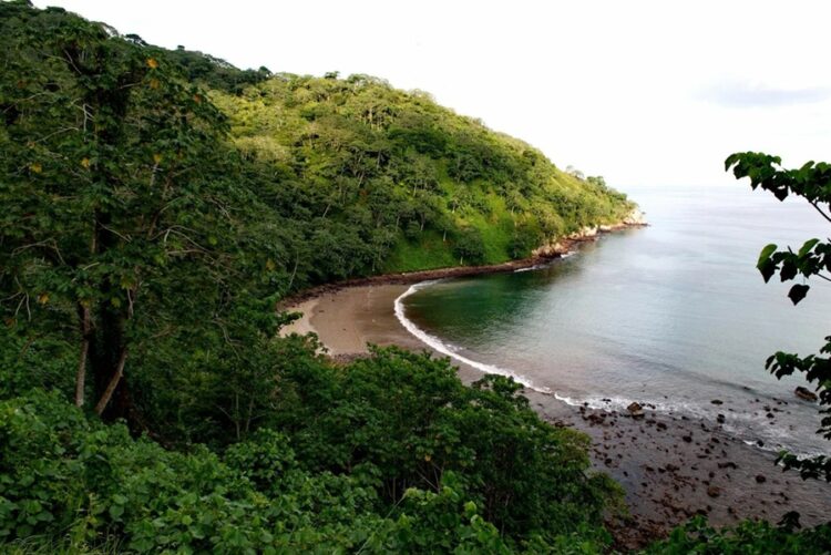 новость 28-09-2025 Мексиканский дайвер стал жертвой нападения акулы в популярном у туристов месте