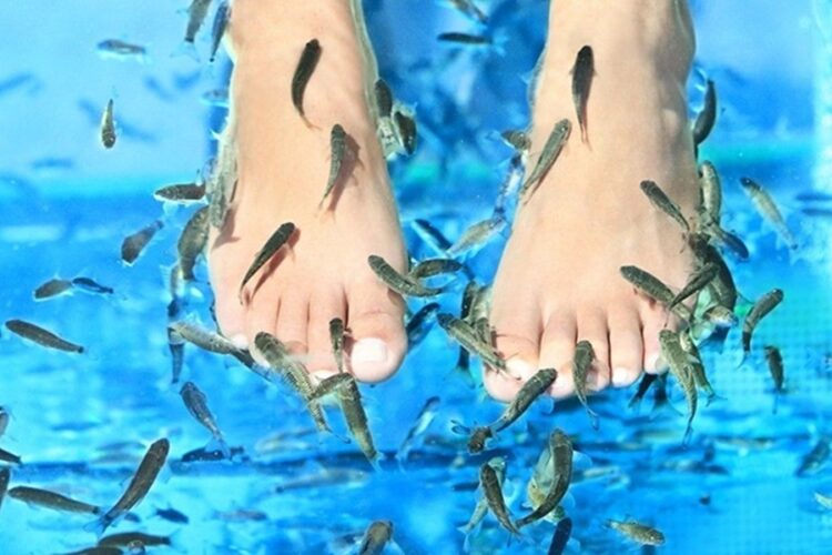 новость 01-09-2025 Почему fish-пилинг может испортить отдых?