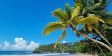 новость 08-09-2025 Сколько будет стоить перелет на Шри-Ланку со стыковками в ОАЭ