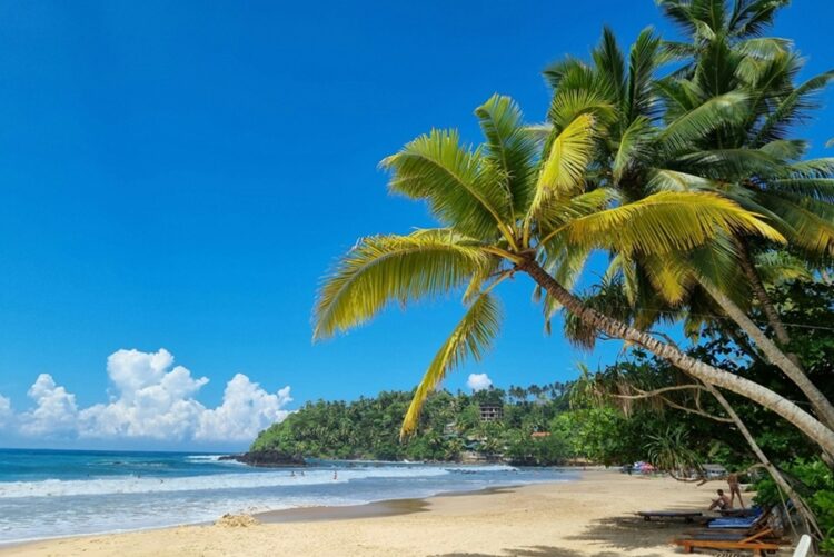 новость 08-09-2025 Сколько будет стоить перелет на Шри-Ланку со стыковками в ОАЭ