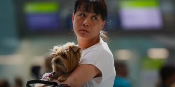 новость 27-09-2025 «Аэрофлот» запустил в Шереметьево отдельную регистрацию для пассажиров с животными