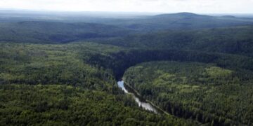 новость 27-09-2025 На Урале несколько дней искали туриста, потерявшегося в глухих лесах