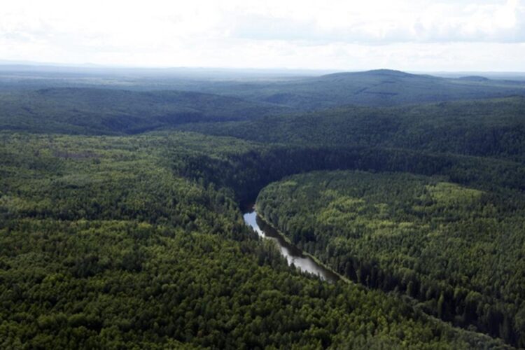 новость 27-09-2025 На Урале несколько дней искали туриста, потерявшегося в глухих лесах