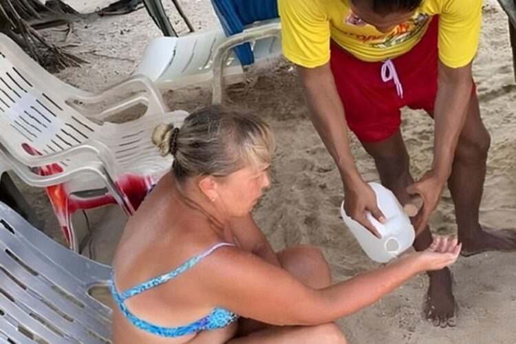 новость 19-10-2025 На Пхукете опровергают слухи о появлении в прибрежных водах опасных кубомедуз